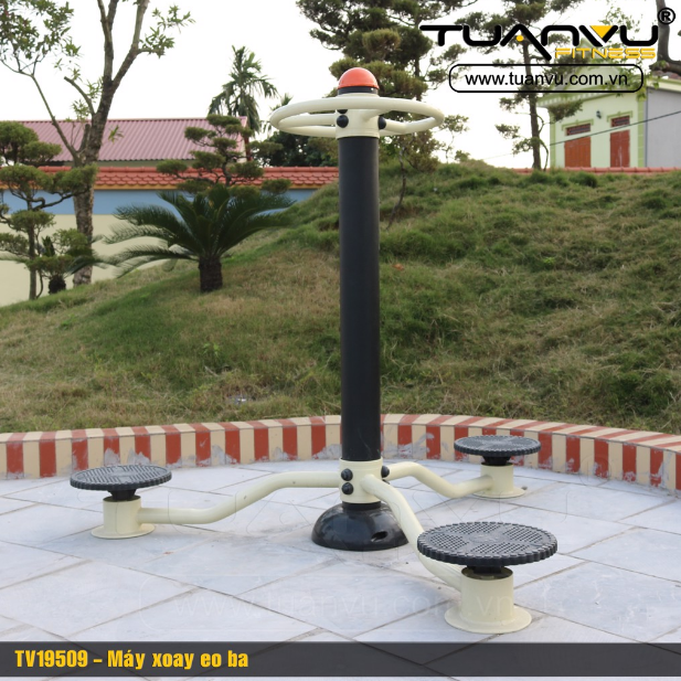 Máy xoay eo ba TV19509