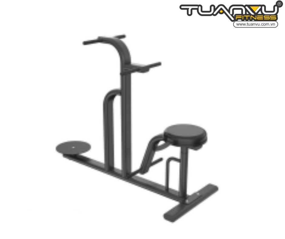 Máy xoay eo đa năng PT6649