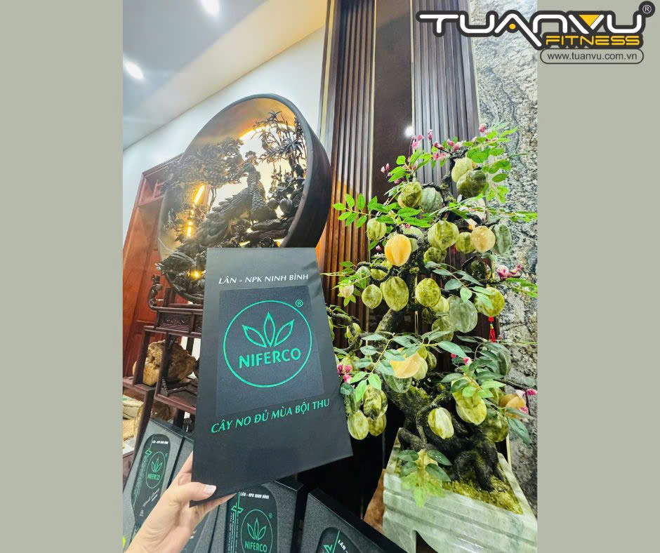 Vợt Pickleball NIFERCO