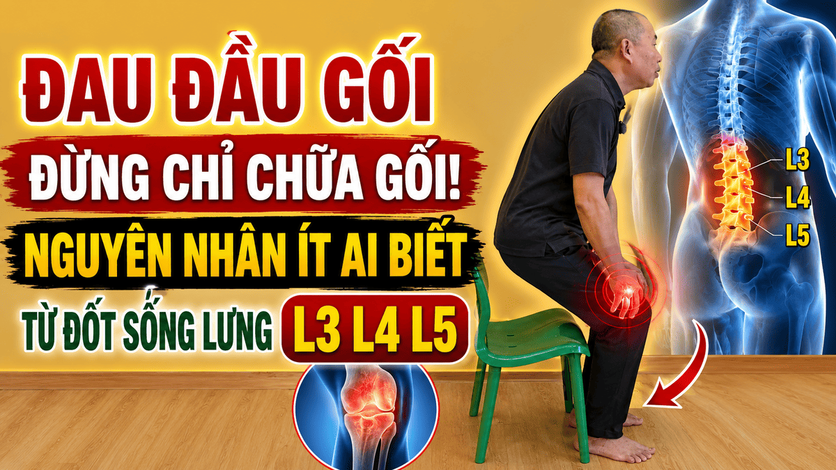 Đau Đầu Gối Đừng Chỉ Chữa Gối! Nguyên Nhân Ít Ai Biết Từ Đốt Sống Lưng L3 L4 L5