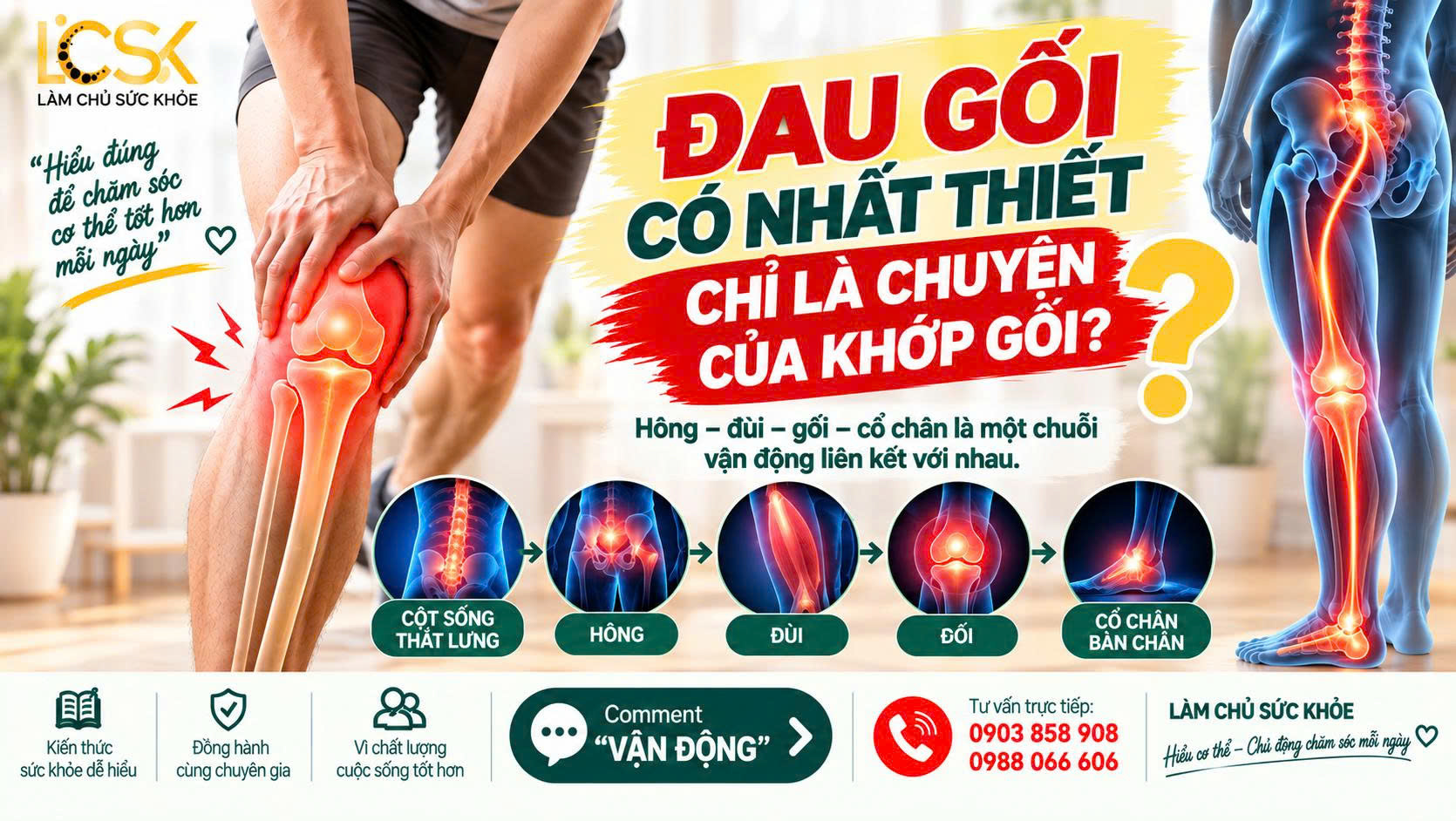 🦵 ĐAU GỐI CÓ NHẤT THIẾT CHỈ LÀ CHUYỆN CỦA KHỚP GỐI?