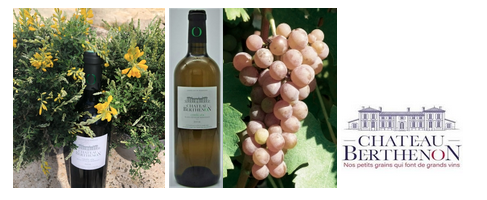 BLAYE CÔTES DE BORDEAUX , CUVÉE LÉA  2018, SAUVIGNON GRIS