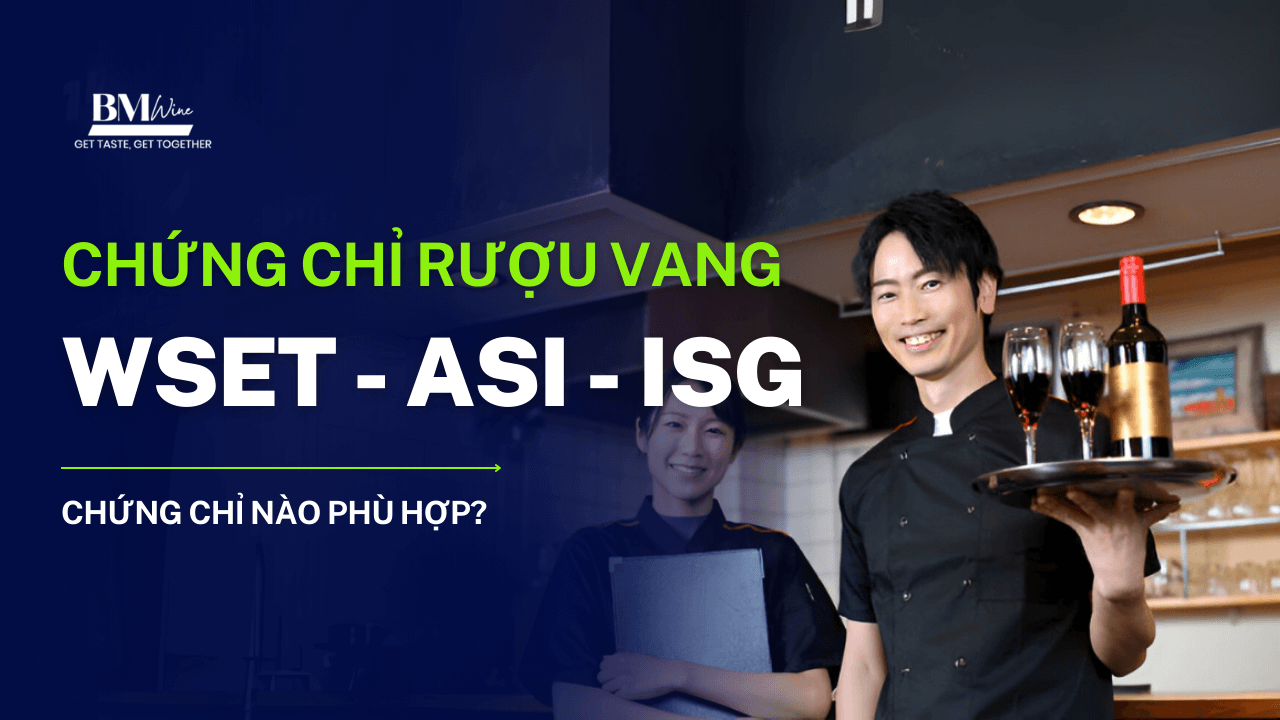 Chứng chỉ rượu vang chuẩn quốc tế: ISG, WSET, ASI - Chứng chỉ nào phù hợp?