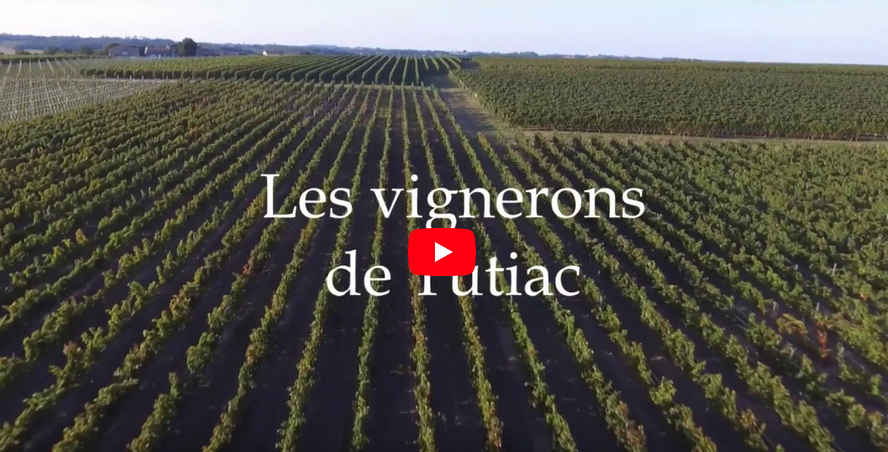 Les Vignerons de Tutiac vus du ciel