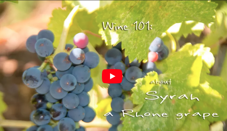 Wine 101: Syrah. a Rhone Grape