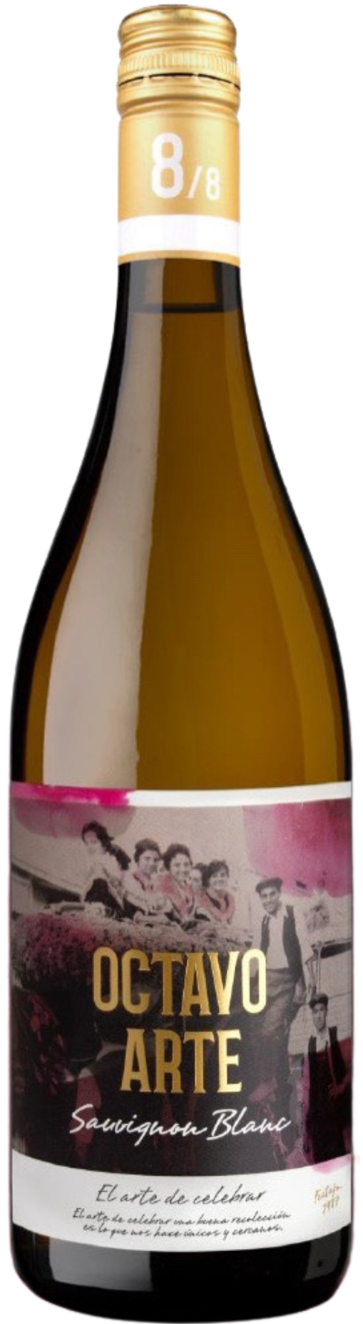 OCTAVO ARTE WHITE