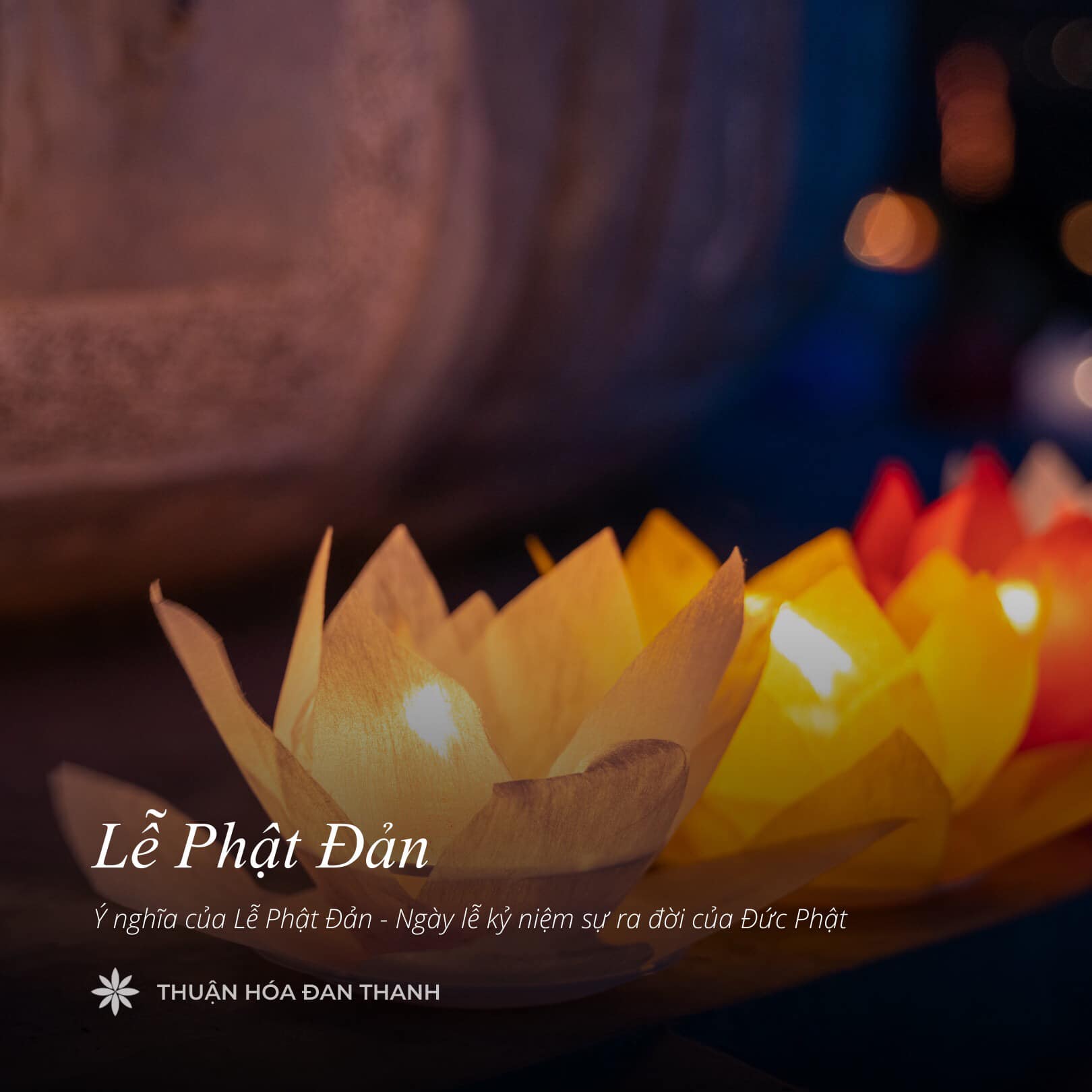 LỄ PHẬT ĐẢN - CÂU CHUYỆN & Ý NGHĨA