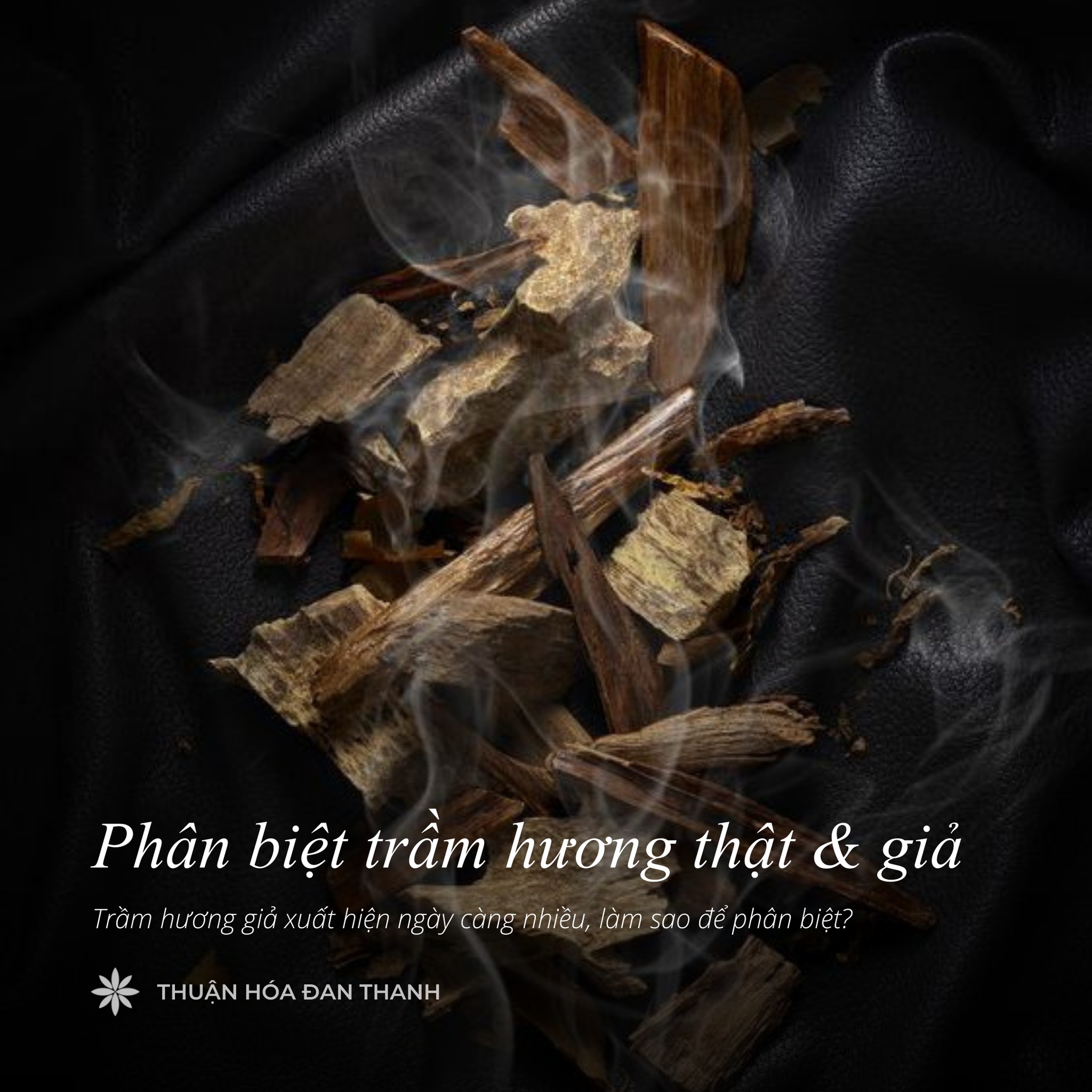 3 CÁCH PHÂN BIỆT TRẦM HƯƠNG THẬT & GIẢ
