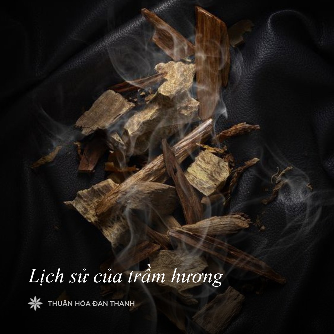 LỊCH SỬ TRẦM HƯƠNG - NHỮNG BÍ ẨN KỲ VĨ