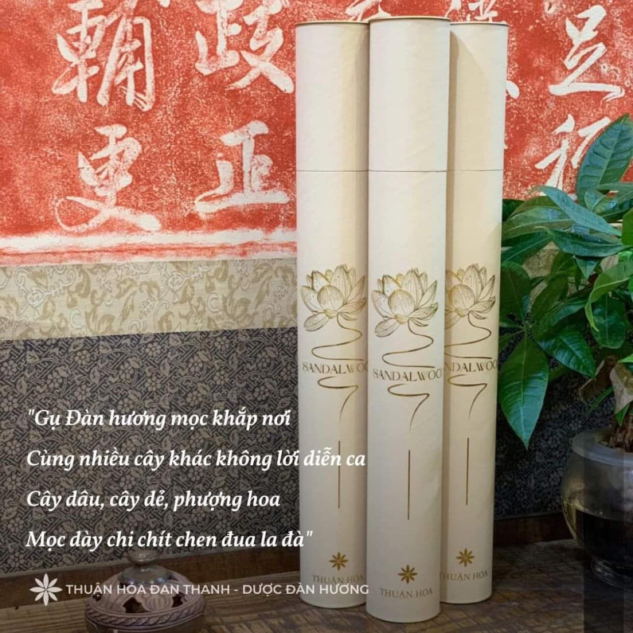 ĐÀN HƯƠNG VÀ NHỮNG T.Í.N NG.Ư.ỠNG T.Ô.N GI.Á.O