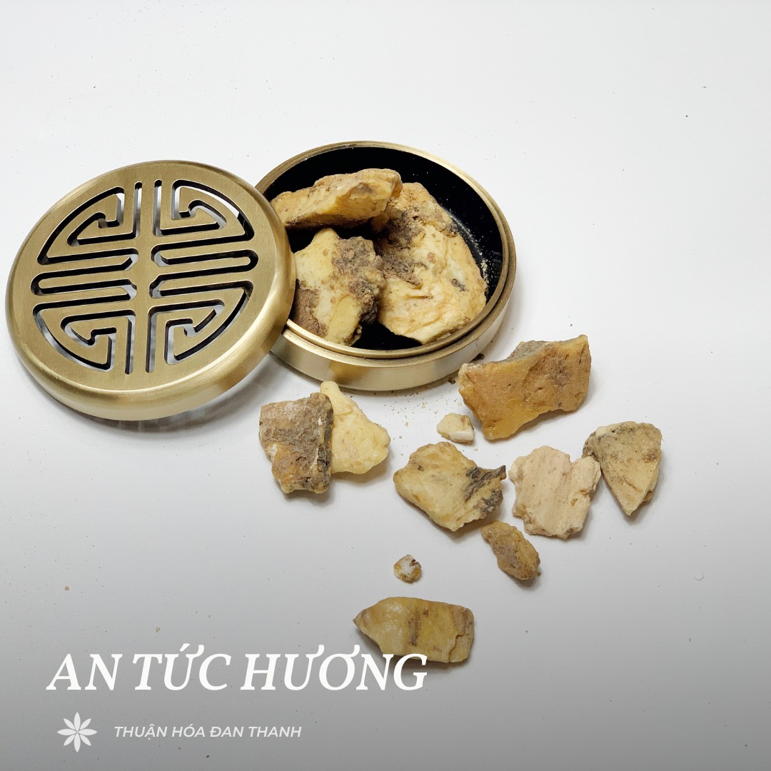 AN TỨC HƯƠNG - VỊ THUỐC ĐÔNG Y TUYỆT PHẨM