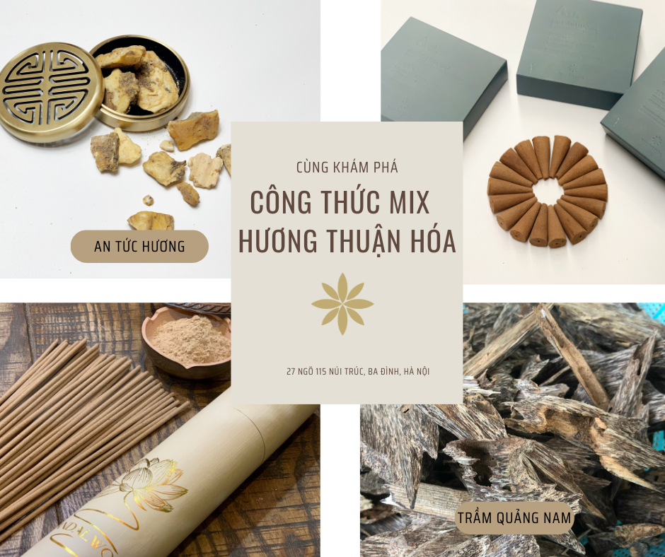 TẠI SAO HƯƠNG CỦA THUẬN HÓA LẠI PHỐI VỚI CÁC LOẠI THẢO DƯỢC KHÁC?