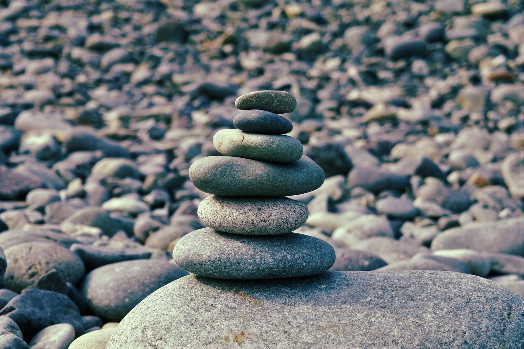 Thuận Hóa Đan Thanh