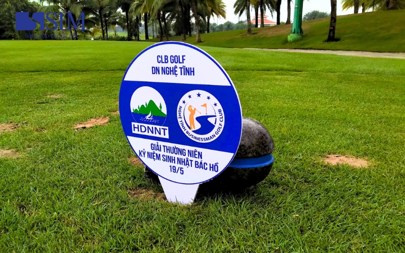 Hình ảnh bài viết