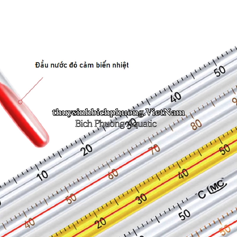 NHIỆT KẾ MINI - NHIỆT KẾ HỒ CÁ