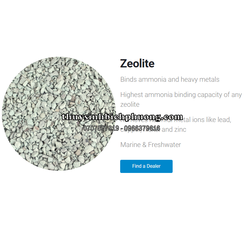 ZEOLITE SEACHEM - KHỬ AMONIA VÀ KIM LOẠI NẶNG