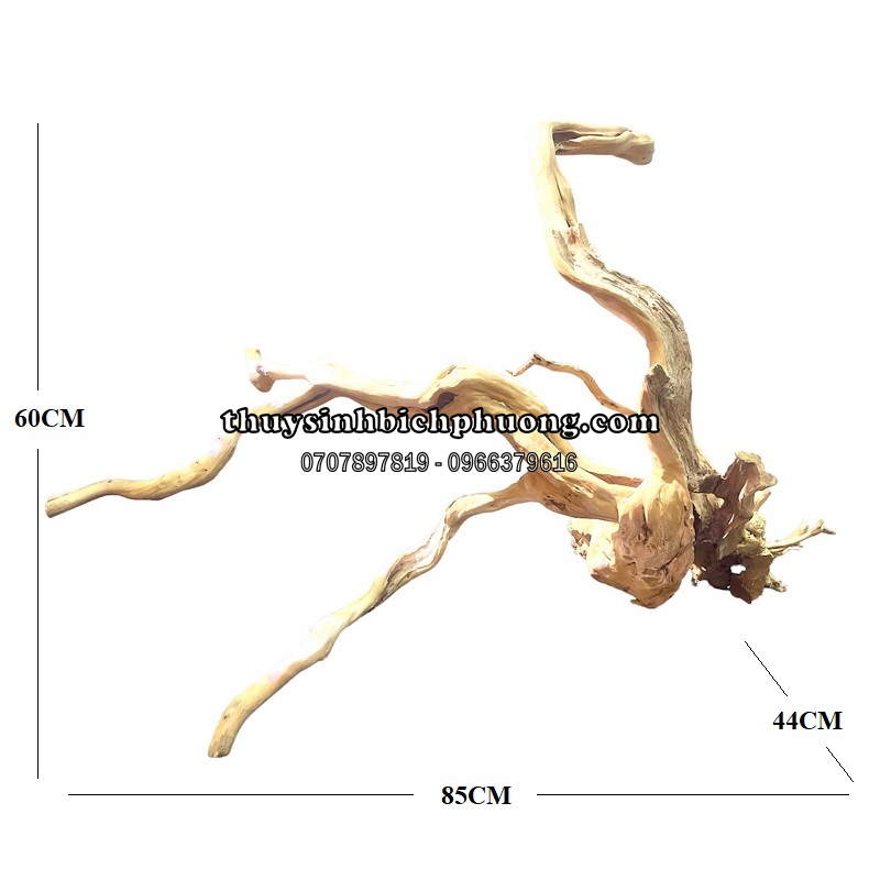 BP18 - BỘ LŨA GỖ ĐỖ QUYÊN NGUYÊN KHỐI