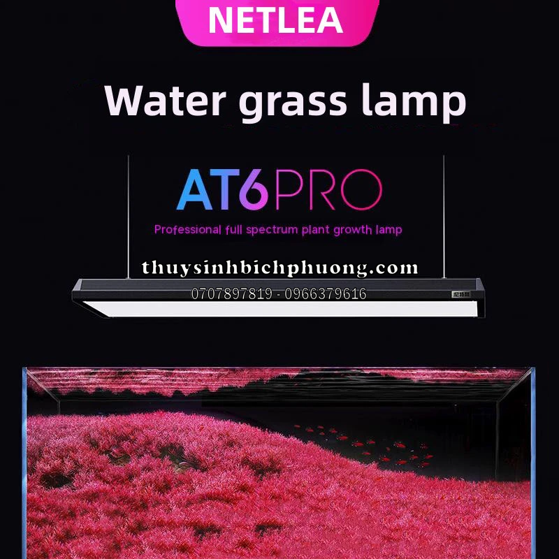 ĐÈN LED NETLEA AT6 PRO - NL 7160P CAO CẤP | THUỶ SINH BÍCH PHƯƠNG