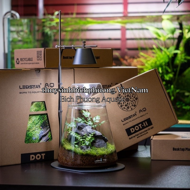 LED LEDSTAR AQ WRGB DOT II D400 - BỘ ĐÈN VÀ HỒ TERRARIUM CAO CẤP (ĐÃ TẶNG KÈM ADAPTER USB)