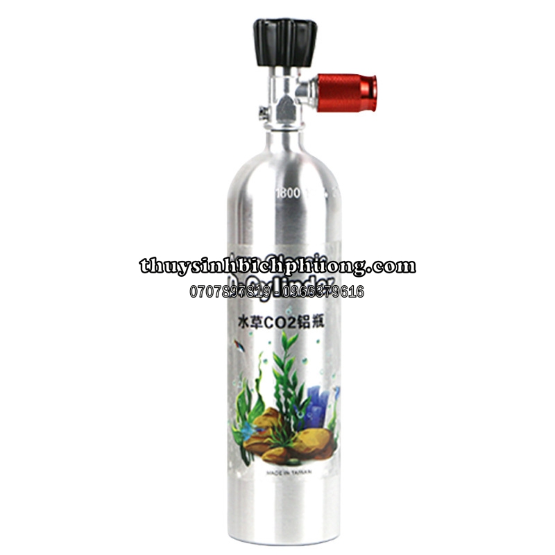 BÌNH CO2 CYLINDER CHINA