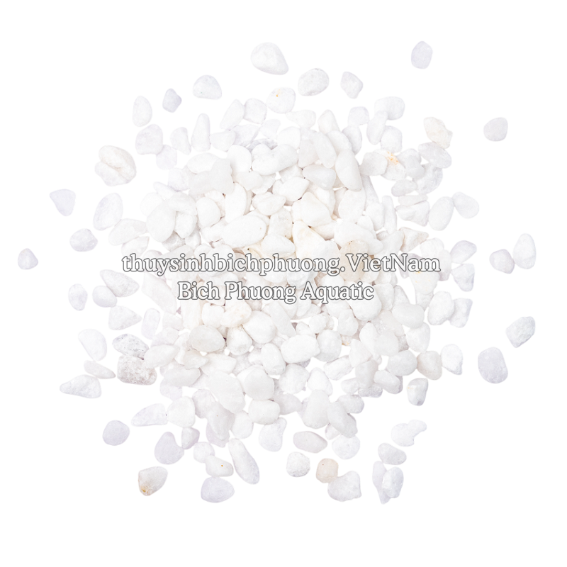 WHITE QUARTZ GRAVEL - SỎI THẠCH ANH TRẮNG