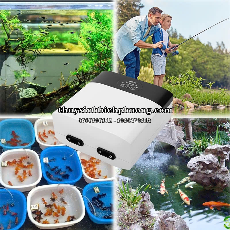 MÁY SỦI OXY TÍCH ĐIỆN SOBO SB-568 (TẶNG FULL PHỤ KIỆN)