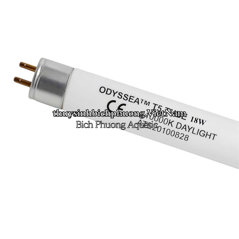 BÓNG ĐÈN ODYSSEA T5HO 10000K – BÓNG THAY THẾ CHÍNH HÃNG CHO MÁNG ĐÈN ODYSSEA