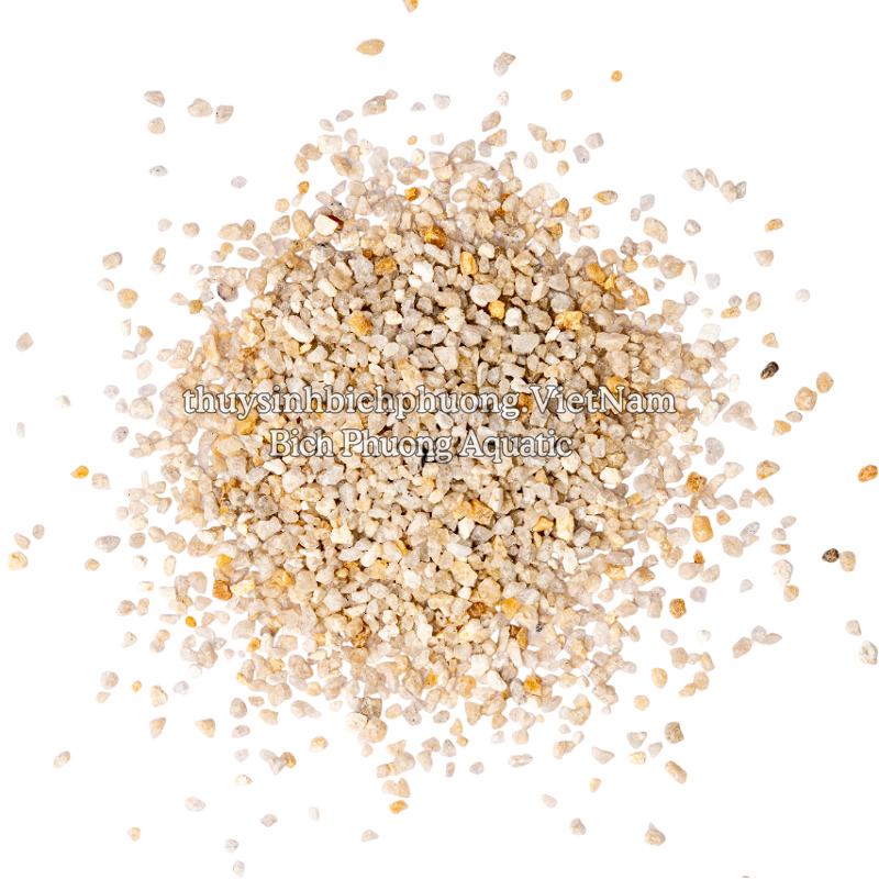 GOLDEN-FLECKED WHITE SAND - CÁT TRẮNG KIM SA