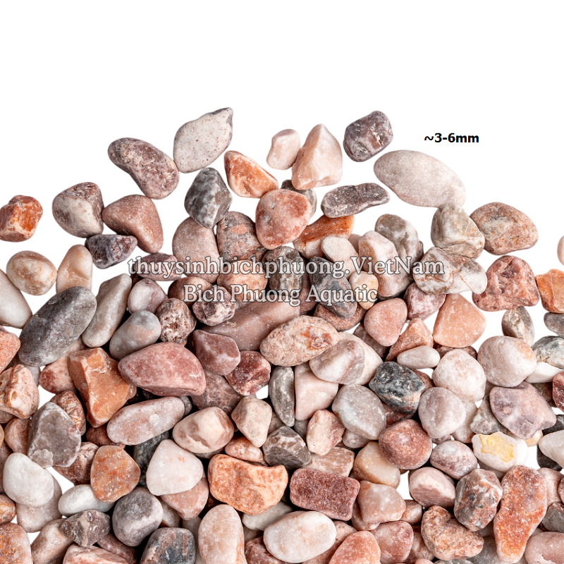 VOLCANO PEBBLE | SỎI NÚI LỬA