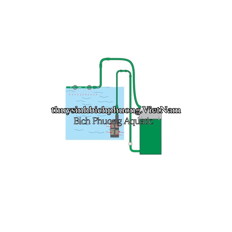 EHEIM PREFILTER / VORFILTER (4004320) - LỌC PHỤ CAO CẤP
