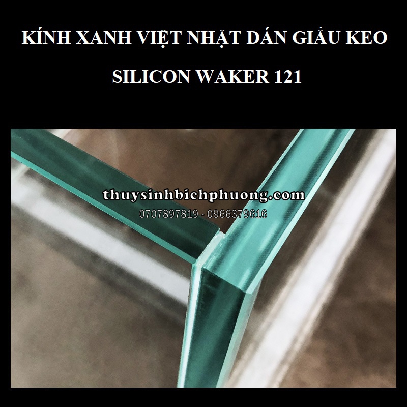 HỒ KÍNH CUBIC VIỆT NHẬT TSA VIỆT NAM