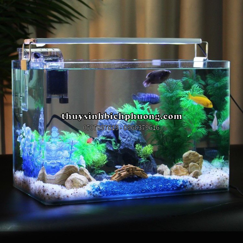 HỒ KÍNH ĐÚC 1 MẶT ĐÀI LOAN