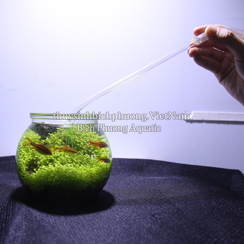 BÓP TAY MINI SPECTRUM WYIN – DỤNG CỤ HÚT CẶN HỒ CÁ NHỎ TIỆN LỢI