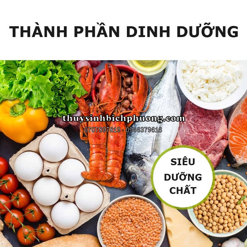 BIOZYM BRINE SHRIMP FOOD - THỨC ĂN ARTEMIA DÁN KÍNH CHO CÁ CẢNH