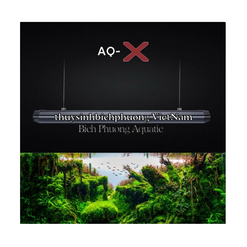 LEDSTAR AQ-X60 - ĐÈN LED HỒ CÁ THỦY SINH CAO CẤP