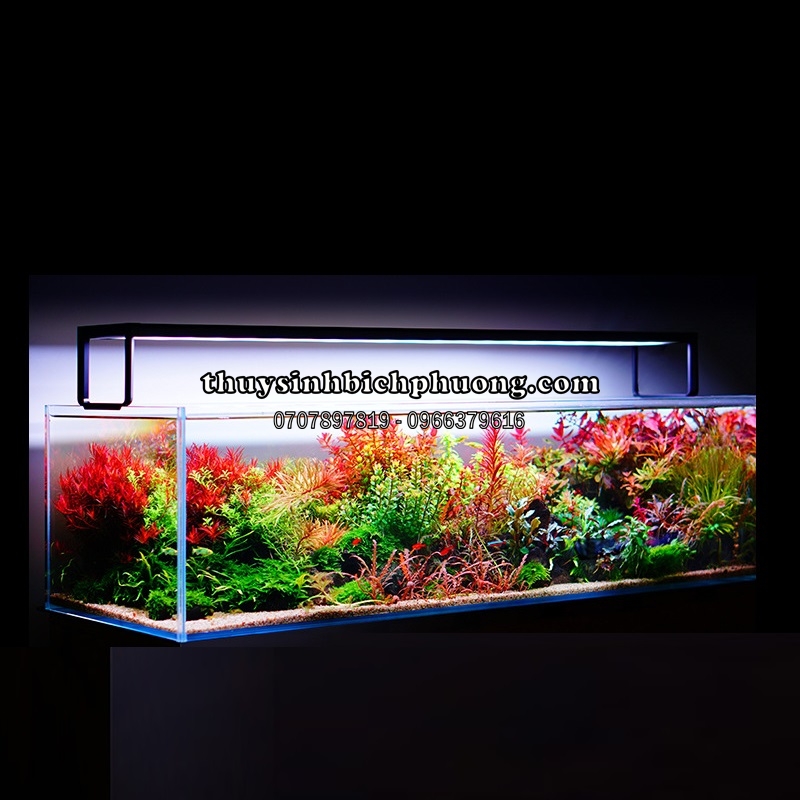 ĐÈN LED NETLEA AT5S VER 2 CÓ GIỌNG NÓI 30CM|40CM|60CM|80CM|90CM|120CM ...
