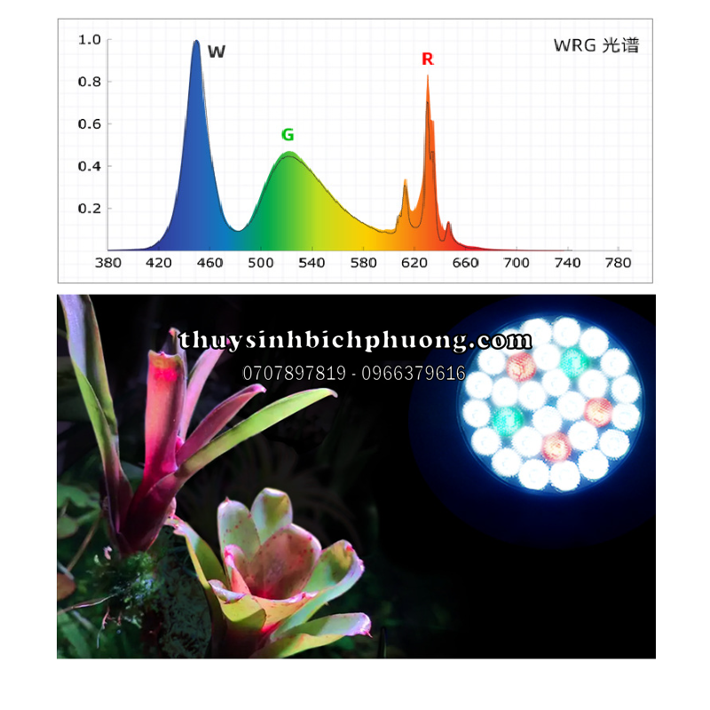 ĐÈN RỌI | ĐÈN LED RAY WEEK Y30 WRG, WRGB 30W DÙNG CHO HỒ CÁ THỦY SINH BÁN CẠN