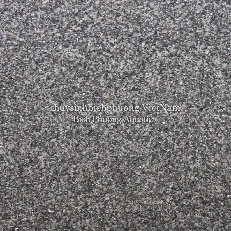 JBL SANSIBAR GREY - CÁT XÁM CAO CẤP