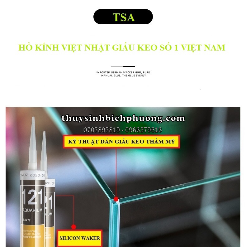 HỒ KÍNH CUBIC VIỆT NHẬT TSA VIỆT NAM