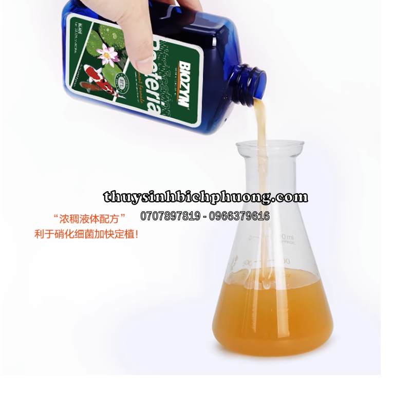 BIOZYM BACTERIA FOR KOI - VI SINH ĐẬM ĐẶC CHUYÊN DỤNG CHO HỒ CÁ KOI