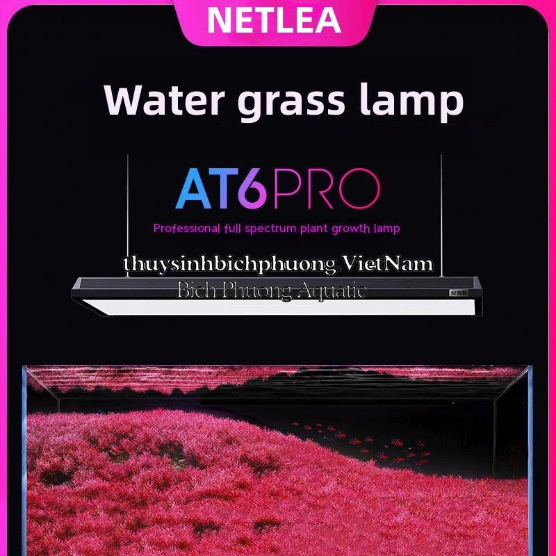ĐÈN LED NETLEA AT6 PRO - NL 7160P CAO CẤP
