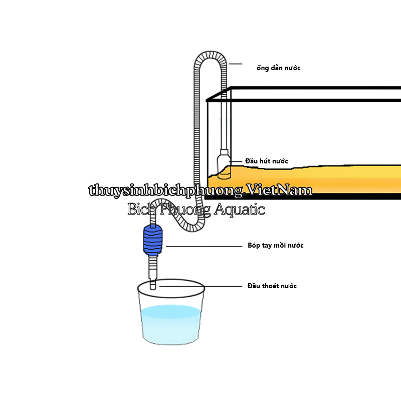 BƠM TAY | BÓP TAY THAY NƯỚC NHỎ - DỤNG CỤ VỆ SINH HỒ CÁ
