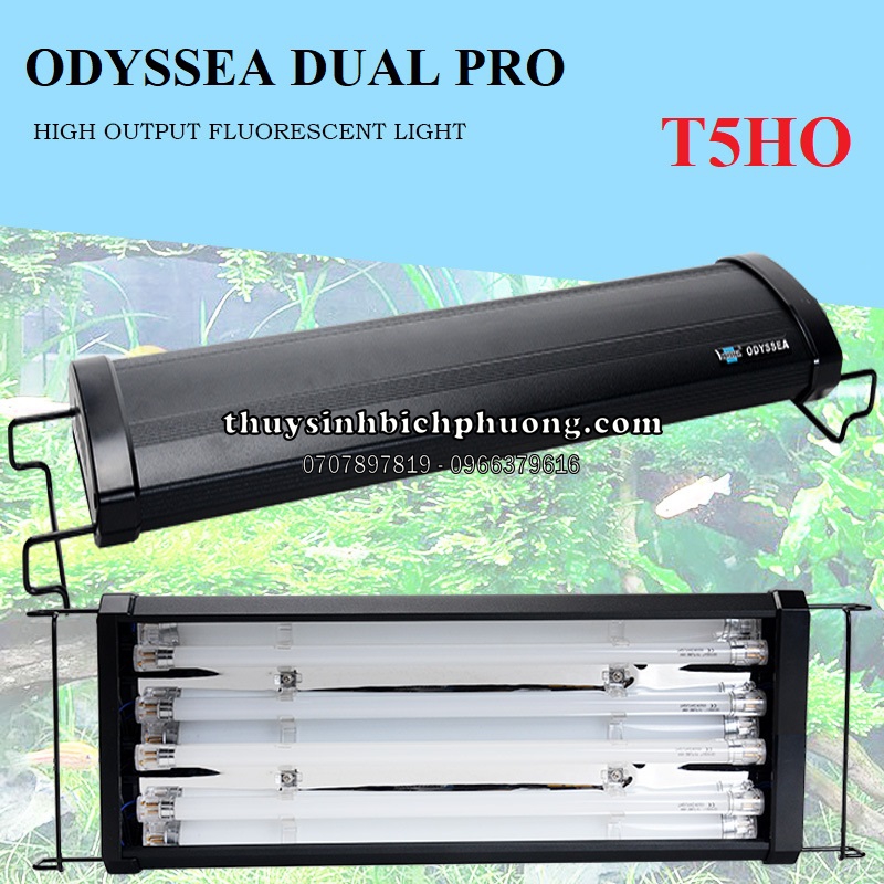 ĐÈN T5HO ODYSSEA 4 BÓNG DUAL PRO