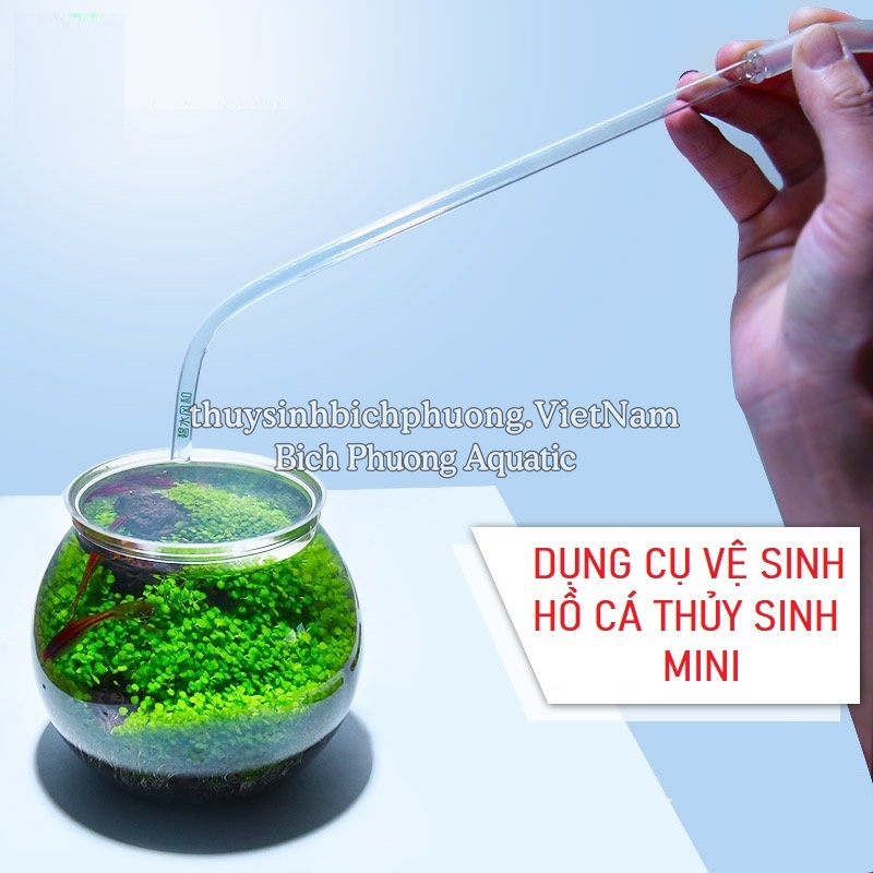 BÓP TAY MINI SPECTRUM WYIN – DỤNG CỤ HÚT CẶN HỒ CÁ NHỎ TIỆN LỢI