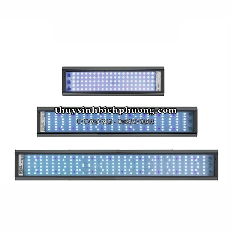 ĐÈN LED WEEK P PRO SERIES RGB-UV P600 | P900 | P1200