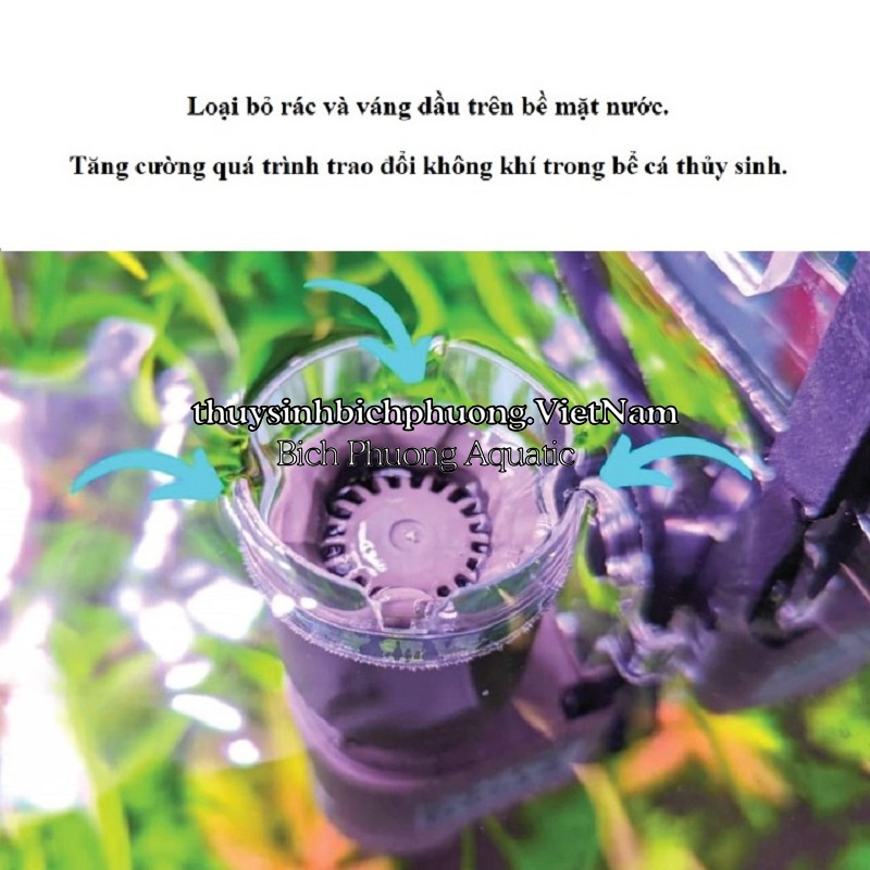 OASE CRYSTALSKIM SURFACE SKIMMER 350 | 600 - LỌC VÁNG CAO CẤP