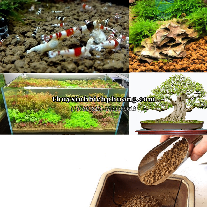 ĐẤT NỀN AKADAMA SOIL NHẬT BẢN