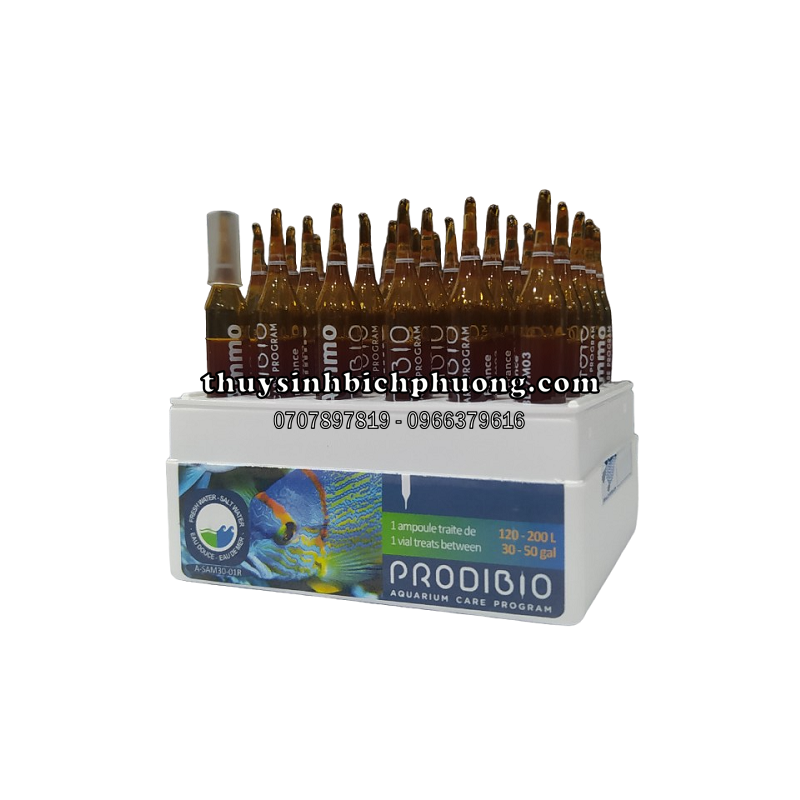 PRODIBIO STOP AMMO - KHỬ ĐỘC NƯỚC