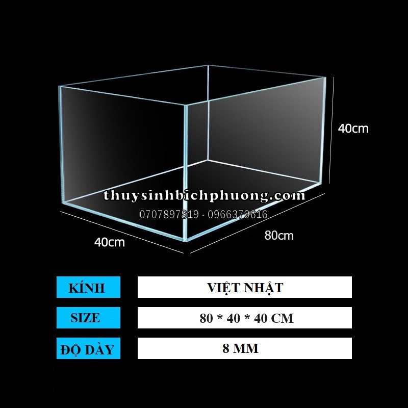 HỒ KÍNH CHỮ NHẬT VIỆT NHẬT TSA VIỆT NAM