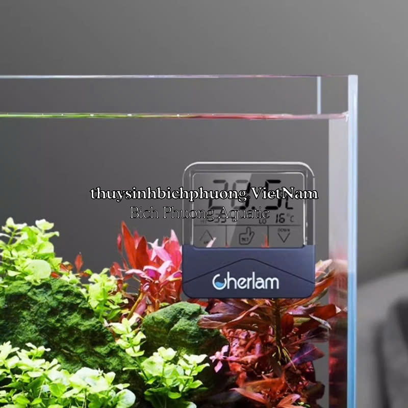 NHIỆT KẾ ĐIỆN TỬ CHERLAM ĐO NHIỆT ĐỘ BỂ
